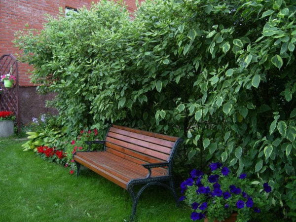 Place benches in cozy corners