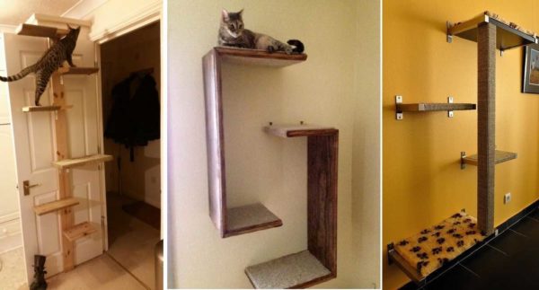 Shelves for cats - the name is clearly not accidental ...