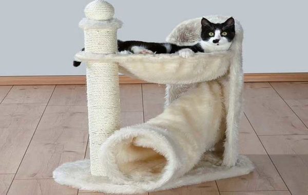 The combination of a hammock and a pipe is one of the light options for a cat corner