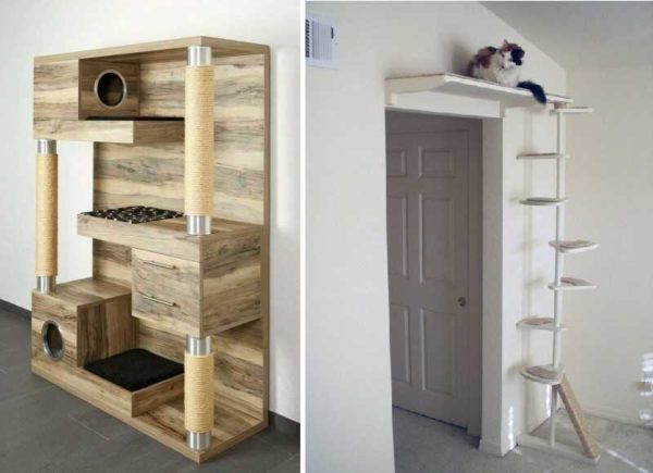 Different approach for different number of cats, but interesting ideas