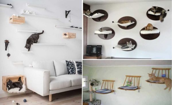 Wall-mounted trainers for cats