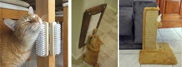 Brushes are a very handy thing to scratch and brush when the owner is not around. Scratching posts help protect furniture from cat claws - it's cheaper than buying a vandal-resistant sofa