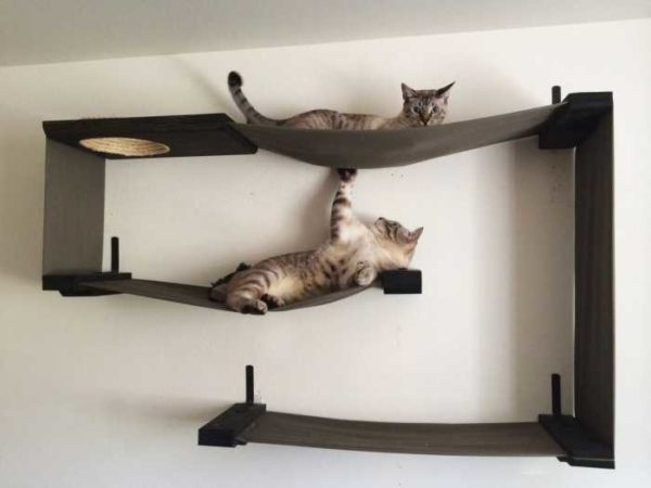 Combination of cat shelves with hammocks ... almost a work of art