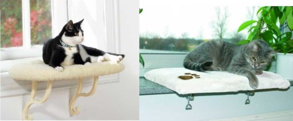When the windowsill is too narrow ...
