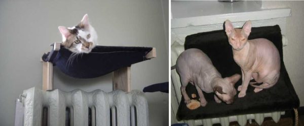 Cold not aunt ... Hammock near the radiator