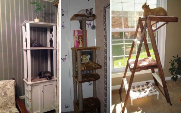 Making a cat bed in the form of a whatnot is an interesting idea. Just like a cat climbing ladder