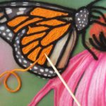 Butterfly beauty