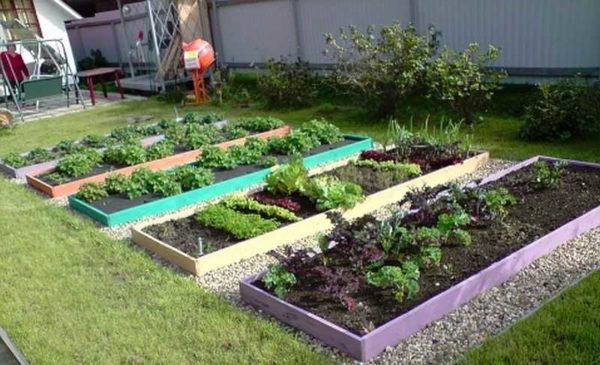 Smart beds add nutrients when laying