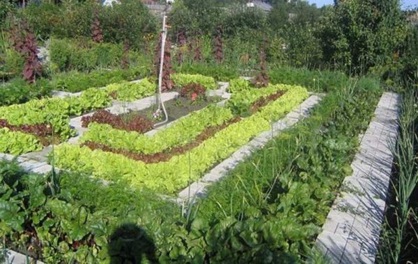 A smart garden is also a decoration of the site