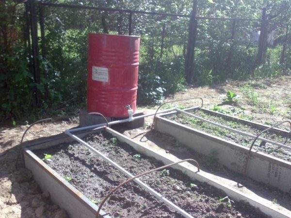 Homemade drip irrigation system made of polymer pipes, water source - barrel