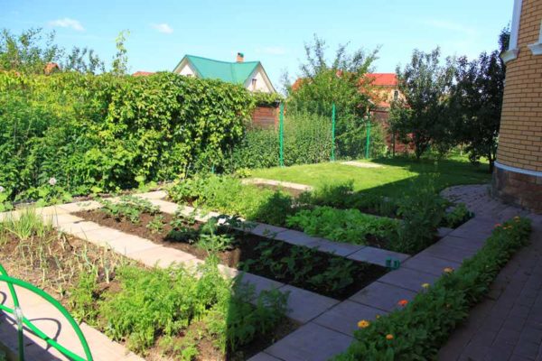 Obligatory protection of the land from drying out (mulching) and protection from weeds