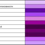 Basic shades of purple