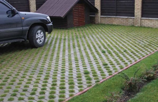 Parking grates are not plastic, but concrete with holes for grass