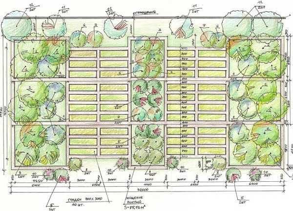 Layout of the beds: only in the sun