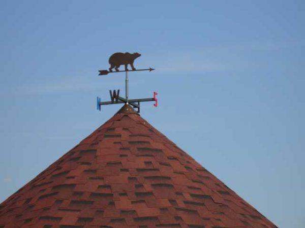 Bear - for serious and reliable