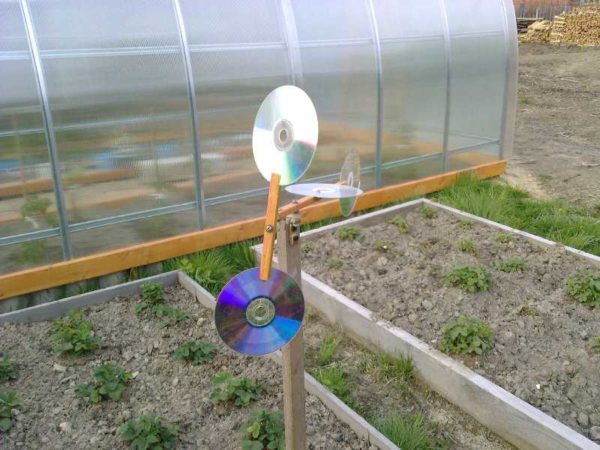 Improved weather vane with propeller