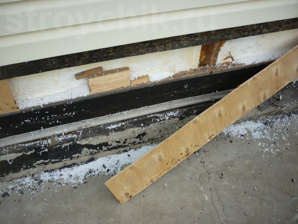 Mice gnawed on SIP panels