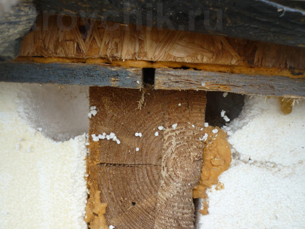 Together with freezing of the plinth, mouse holes were found and the seam between the OSB was not foamed.