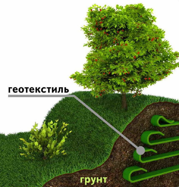 When forming the landscape