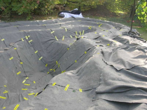 When arranging ponds, pools