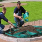 Didn't know how to plant flowers on a flower bed to get a pattern - using plastic tape as a limiter