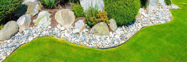 Clear boundaries are what makes a lawn well-groomed