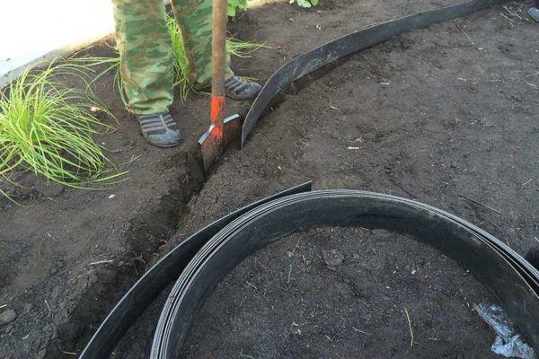 You can decorate and strengthen the beds with the help of plastic border tape for the garden and vegetable garden