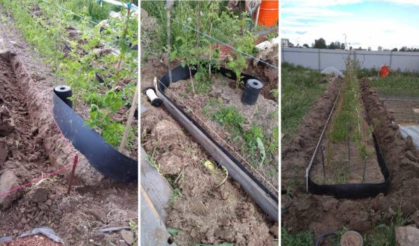 Install the curb tape in the pre-dug ditch