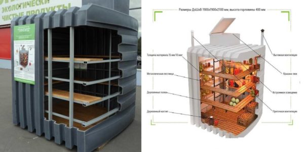 Plastic cellar Tingard