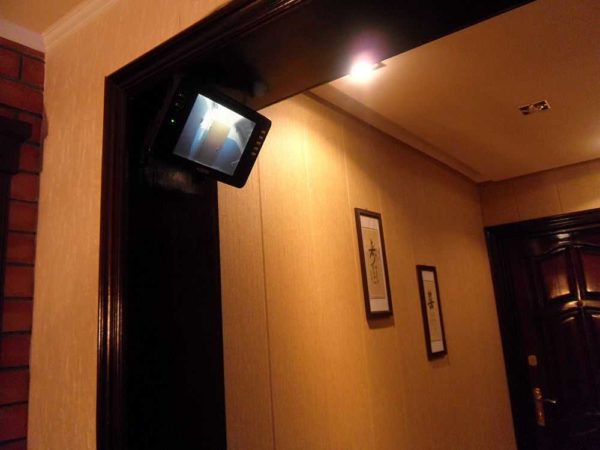 You can output the signal to a monitor with a common input