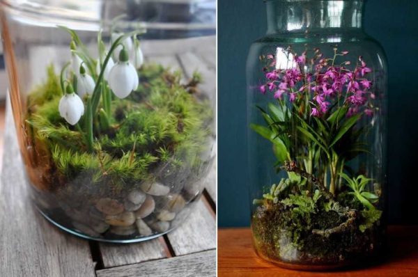 Gift ideas for March 8 - gentle, unusual