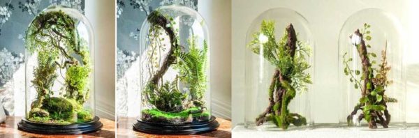 Driftwood with bindweed in a glass jar - picturesque