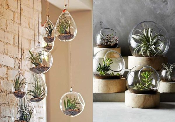 Interior solutions for flower lovers