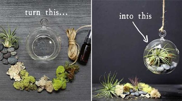 The assembly itself takes a few minutes. But before making a florarium, it takes a lot of time to select plants, to determine the optimal soil sucking