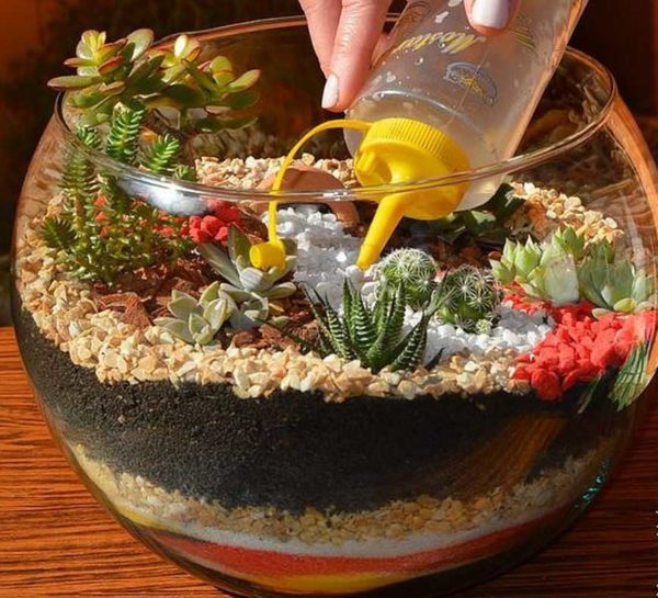 Watering the mini-garden is easy using a plastic bottle closed with a lid with a long tube