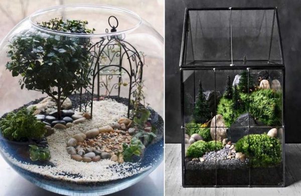 You can create a garden landscape, you can recreate mountain landscapes