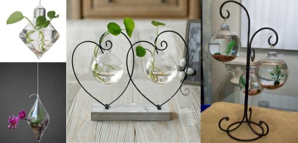 For aquatic plants and soil is not needed - only water, dwarf phallenopsis feels great in the air - high humidity is guaranteed to the roots, but it doesn't need more