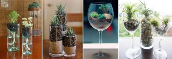 Glasses, glasses - original decorations from natural flowers for the table