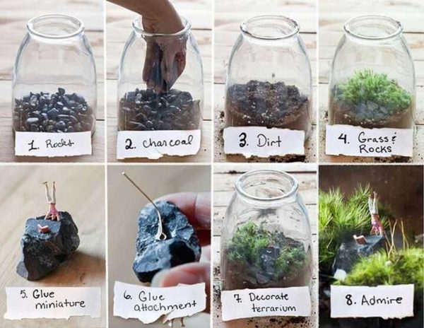 One of the options for planting plants in the florarium