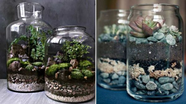 The containers are the same, the miniatures are different))