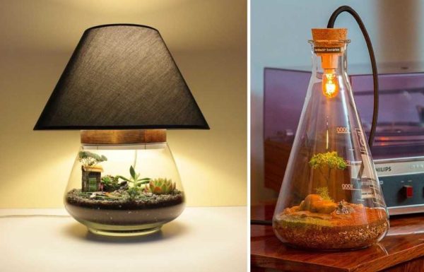 To make a lamp from a florarium - two problems are immediately solved: lighting and illumination of plants