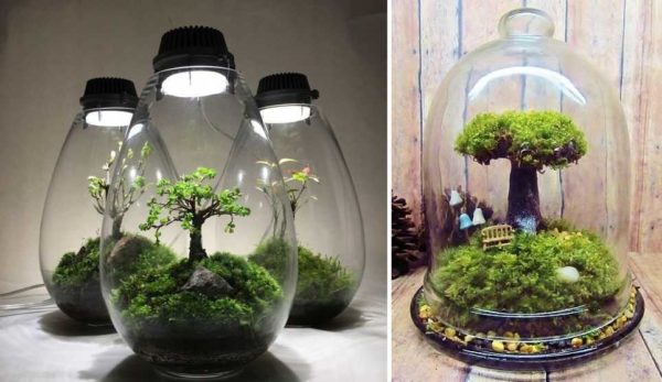 The lid of the can can be used to mount the LED light