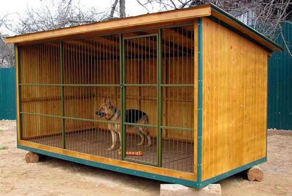 One of the options for solid pets