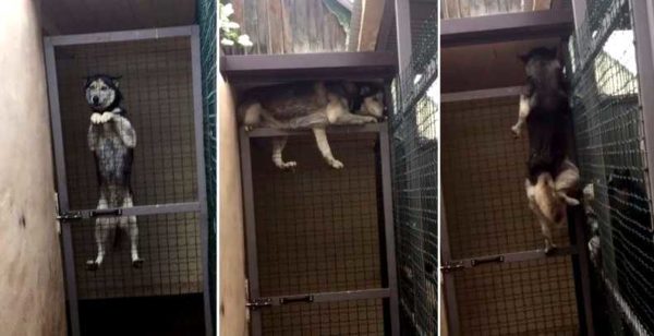 Leave no gap under the roof