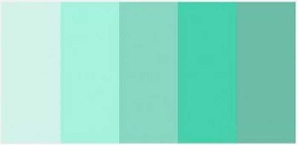 Different shades of mint color (mint)