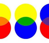 Primary and secondary colors of the palette