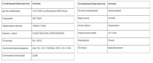 Example of IP camera characteristics