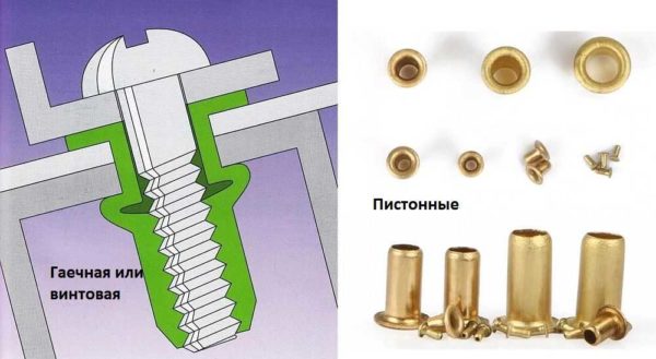 Nut and rivets