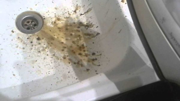 This is what was inside the steam iron. How to descale your iron? Water with citric acid. There are only two ways. Choose