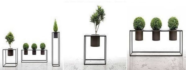 For maximum effect, you need to choose the right shape of the plant.